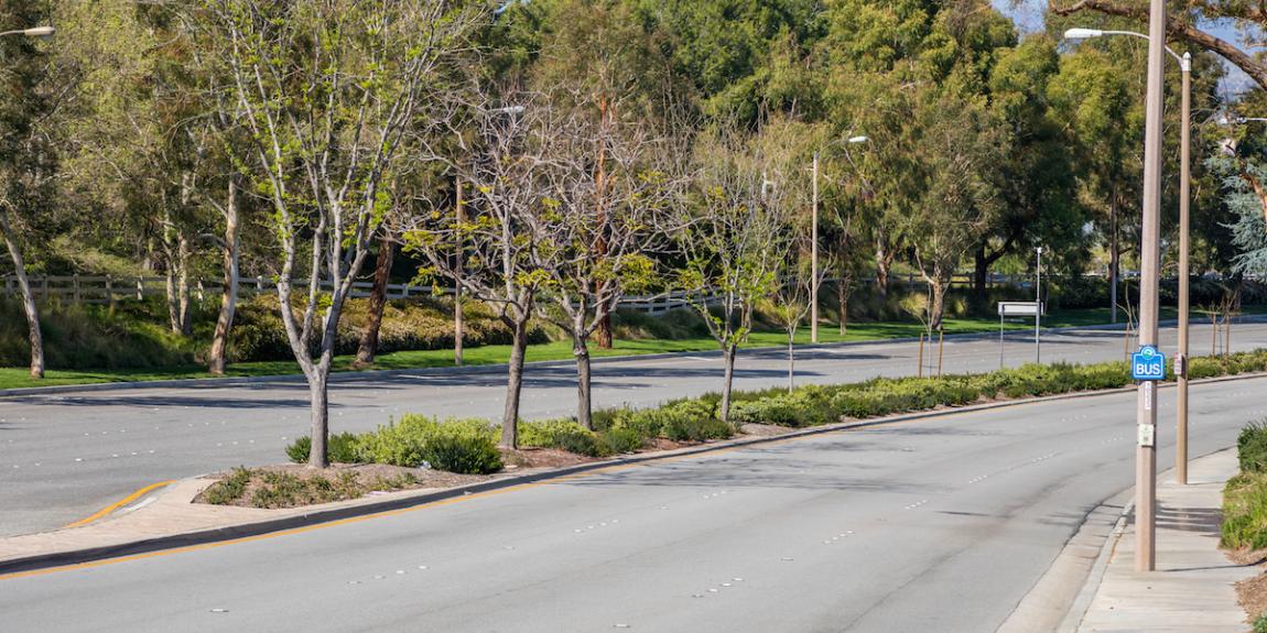 Valencia Median